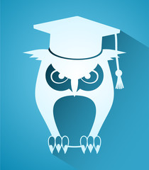 teacher owl