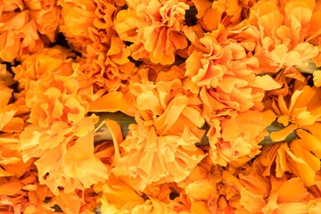 Wax diyas made of clay with marigold flowers for hindu religious celebration and festivity 
