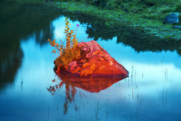 Rock with a flower in the lake