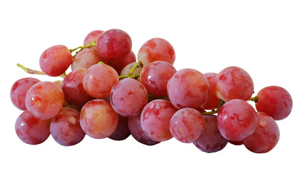 bunches of fresh red grapes with white isolate background