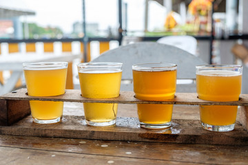 Craft beer in the glass