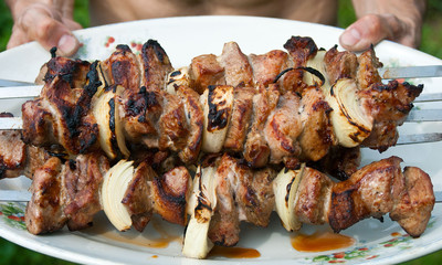 Grilled meat on skewers on a plate on nature