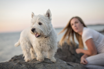portrait of beautiful girl pretty white West Highland dog