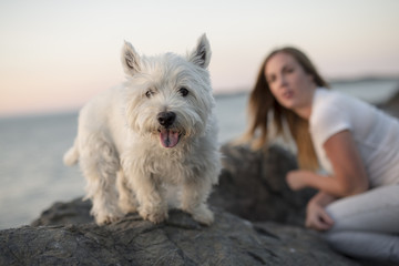 portrait of beautiful girl pretty white West Highland dog