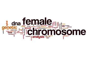 Female chromosome word cloud