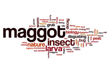 Maggot word cloud