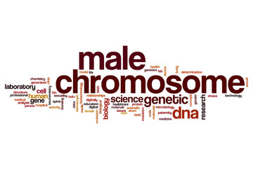 Male chromosome word cloud