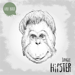 Handgezeichnete Skizzenartillustration des Affengesichtes. Dschungel-Hipster. Chinesisches Sternzeichen. Orang-Utan. Vektor-Illustration. © Sketch Master