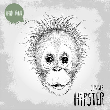 Hand drawn sketch style illustration of monkey face. Jungle Hipster. Chinese zodiac sign. Orangutan kid. Vector illustration.