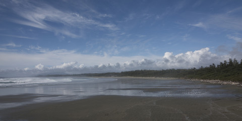 View of beach, Pacific Rim National Park Reserve, Tofino, Vancou