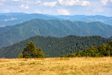 late summer mountain landscape