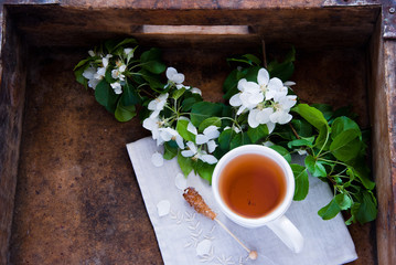 Cup of tea and spring flowers