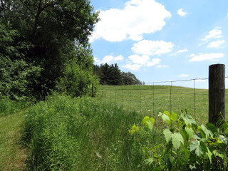 View of the countryside along a rustic fence.