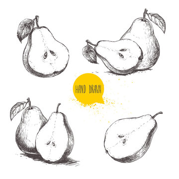 Set of hand drawn sketch style pears. Sliced ripe pears. Vintage organic food illustration.