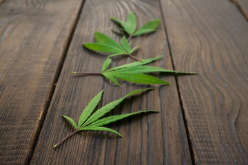 Leaves of cannabis on dark wooden surface. Close-up