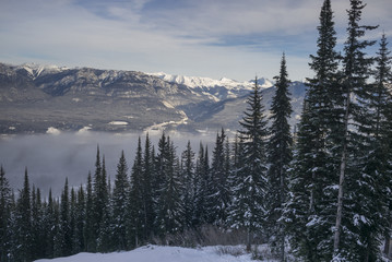 Snow covered trees with mountains in winter,  Kicking Horse Moun