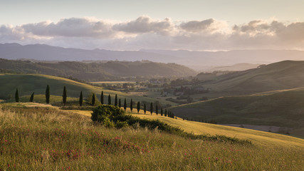 Tuscany Day Widescreen