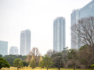 Tokyo Contrasts