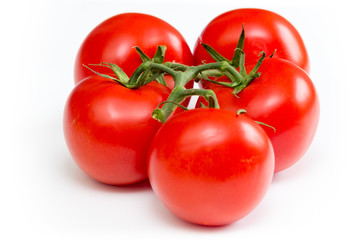 Strauchtomaten auf weißem Hintergrund freigestellt