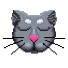 Obraz premium The muzzle of a cat pixels.