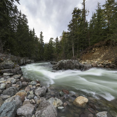 River flowing in a forest, Whistler, British Columbia, Canada