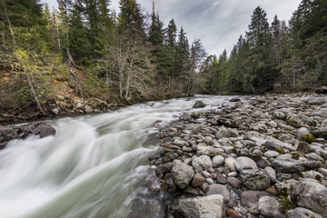 River flowing in a forest, Whistler, British Columbia, Canada
