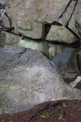 Close-up of rocks, Whistler, British Columbia, Canada