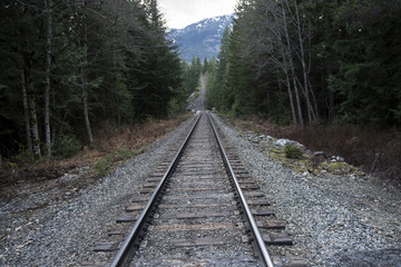 Fototapeta premium Railroad track passing through forest, Whistler, British Columbi