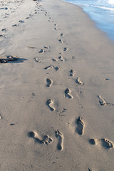 footsteps on a sandy beach