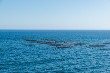 fish farm on mediterranean sea