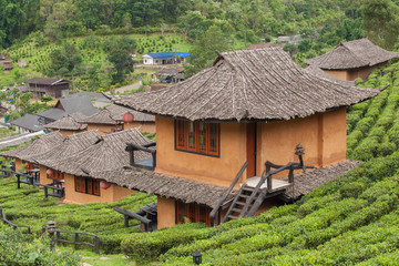 Fototapeta na wymiar Ban Rak Thai, the tea farm and resort. Mae Hong Son, Thailand