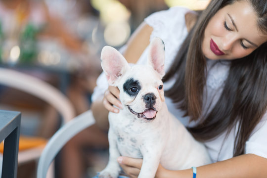 Lap dog video sales