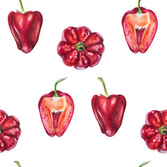 Watercolor set of red bell peppers