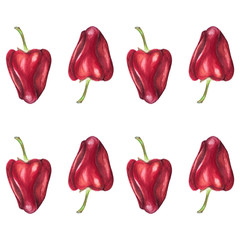 Watercolor set of red bell peppers