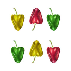 Watercolor set of red, green and yellow bell peppers