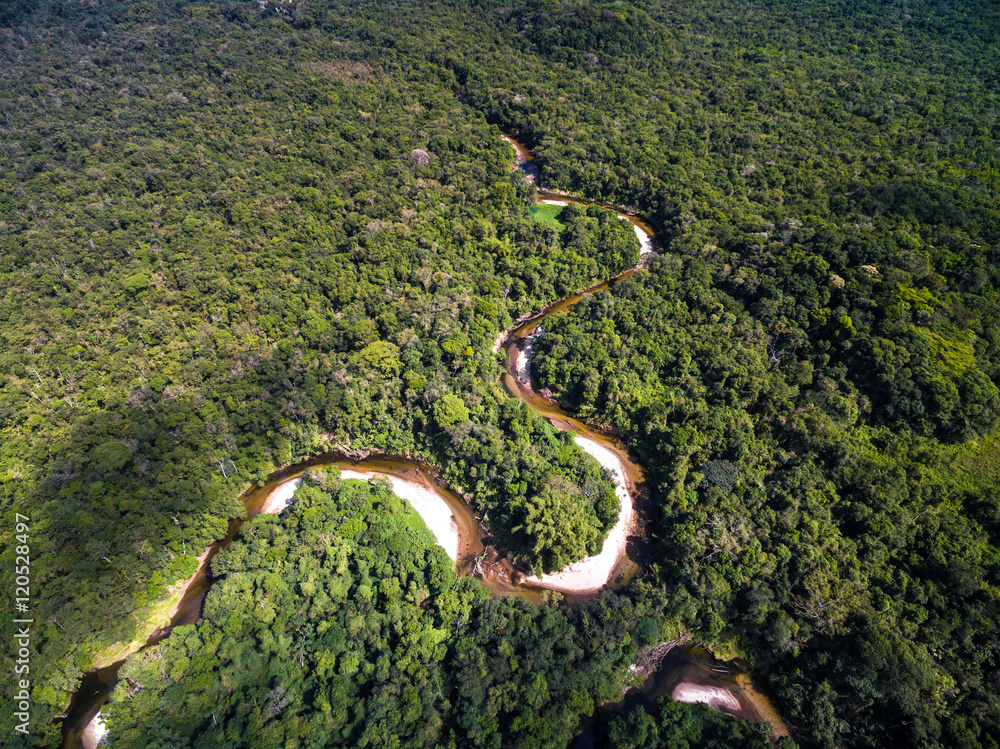 Wall mural Top View of River in Rainforest, Brazil