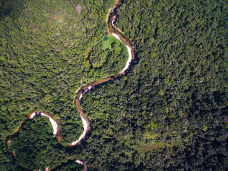 Top View of River in Rainforest, Brazil