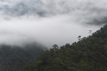 High angle view of mountains in the Punakha Valley, Bhutan