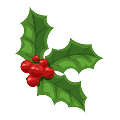 Christmas berry vector illustration.