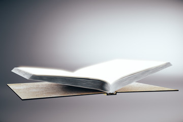 Empty book on grey background