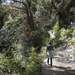 Obraz premium A woman walking on a hiking trail in Bhutan.