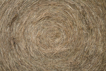 Hay bale background
