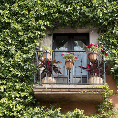 Fototapeta na wymiar Balcony with flower planters, Zona Centro, San Miguel de Allende