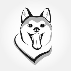 Fototapeta na wymiar Akita head portrait vector. Dog stylized face icon. Cute smiling pet design.