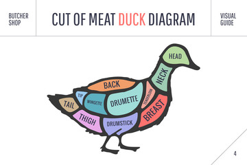 Fototapeta na wymiar Cut of meat set. Poster Butcher diagram and scheme - Duck