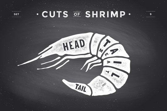 Cut of meat set. Poster Butcher diagram and scheme - Shrimp