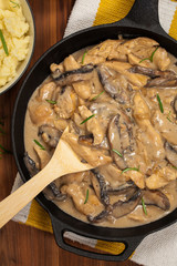 Chicken Stroganoff a variation on Beef Stroganoff. Selective focus.