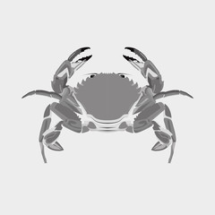 Sea life