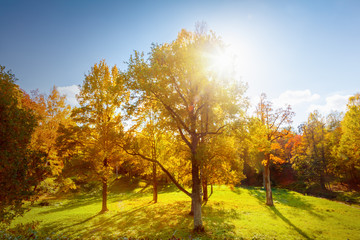 Autumn landscape