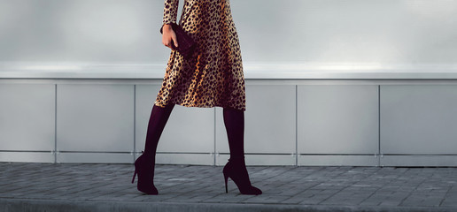 Street fashion concept - stylish elegant woman in leopard dress